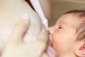 Nursing newborn baby Royalty Free Stock Photo