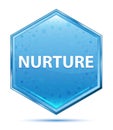 Nurture crystal blue hexagon button