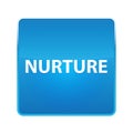 Nurture shiny blue square button