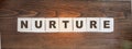 Nurture Word Written on Wooden Cubes