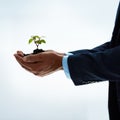 Nurture your dreams with care. Closeup shot of an unidentifiable businessman holding a plant growing in soil.