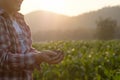 Nurturing baby plant on hand agriculture concept.. Royalty Free Stock Photo