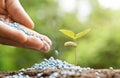 nurturing baby plant Royalty Free Stock Photo