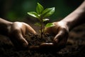 Nurturing concept hands caring for a young plant, soil background