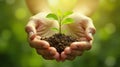 Nurturing and environmental consciousness Royalty Free Stock Photo