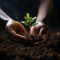 Nurturing growth Hand adds soil to green backdrop, symbolizing planting or remembrance