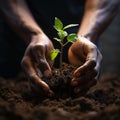 Nurturing growth Hand adds soil to green backdrop, symbolizing planting or remembrance