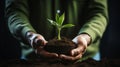 Nurturing Growth. Hands Holding Small Plant in Fertile Soil, Eco-Awareness Concept