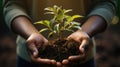 Nurturing Growth: Hands Holding a Young Plant Against Sunlight