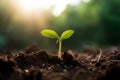 Nurturing Growth: Young Individual Tending to a Newly Growing Sapling Seed