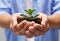 Nurturing new life. a person holding a pile of soil with a budding plant. Royalty Free Stock Photo