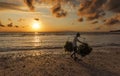 Indonesian farmer carrying seaweed collected from his sea farm to house for drying in morning, Nusa Penida, Indonesia