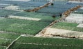 Indonesian farmer carrying seaweed collected from his sea farm to house for drying in morning, Nusa Penida, Indonesia Royalty Free Stock Photo