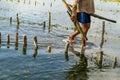 Nusa Penida,Bali-Sept 04 2021: A seaweed farmer in Nusa Penida Bali is harvesting his seaweed cages on a cloudy afternoon. Grass Royalty Free Stock Photo