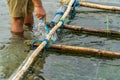 Nusa Penida,Bali-Sept 04 2021: A seaweed farmer in Nusa Penida Bali is harvesting his seaweed cages on a cloudy afternoon. Grass Royalty Free Stock Photo