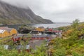 Nusfjord, Norway - June 20, 2017: authentic fishing village with traditional red and yellow rorbu houses in winter. Lofoten