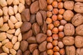 Nut arrangement Royalty Free Stock Photo