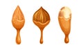 Nut as Edible Seed with Dripping Chocolate or Caramel Melting Liquid Vector Set