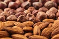 Nut background of different nuts - almond, hazelnut and kernel close-up. Royalty Free Stock Photo