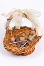 Nut basket Royalty Free Stock Photo