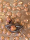 Nut chocolate Royalty Free Stock Photo