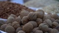 nut close-up outdoor photo Royalty Free Stock Photo