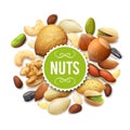 Nut Collection Illustration Royalty Free Stock Photo