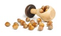 Nut cracker full of hazelnuts on the white background Royalty Free Stock Photo