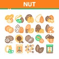 Nut Food Different Collection Icons Set Vector