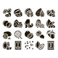 Nut Food Different Glyph Set Vector