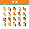 Nut Food Different Isometric Icons Set Vector