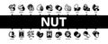 Nut Food Different Minimal Infographic Banner Vector