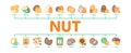 Nut Food Different Minimal Infographic Banner Vector