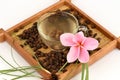 Nut grass, Coco grass Cyperus rotundus L. tea for health.