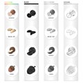 Nut, hazelnut, brazil nut, and other web icon in cartoon style.Peel, delicacy, treats icons in set collection. Royalty Free Stock Photo