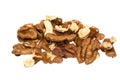 Nut isolated on white background Royalty Free Stock Photo