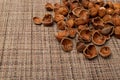 Nut Kernels, Hazelnuts Pile, Healthy Organic Nuts Group, Nut Kernels Royalty Free Stock Photo