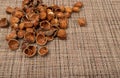 Nut Kernels, Hazelnuts Pile, Healthy Organic Nuts Group, Nut Kernels Royalty Free Stock Photo