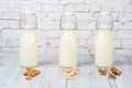 nut milk in glass bottles Royalty Free Stock Photo