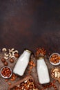 Nut milk in glass bottles Royalty Free Stock Photo