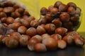 nut is an oily and nutritious food