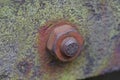 Nut on a rusty bolt on a green iron wall Royalty Free Stock Photo