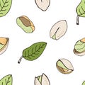 Nut seamless on white background. Hand drawn colorful pattern with pistachio.