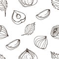 Nut seamless on white background. Hand drawn contour pattern with hazelnut.