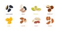 Nut seed. Nuts set in flat design. Set of different cartoon nuts. Vector illustration Royalty Free Stock Photo