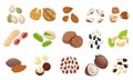 Nut seed set. Slices nuts pistachio peanuts brazilian hazelnut pumpkin seeds sunflower.