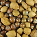 Nut selection background