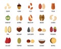 Nut types with signed names icons set, flat style