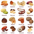 Nut types signed names mockup set, realistic style