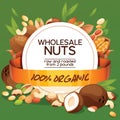 Nut vector nutshell of hazelnut walnut and almond nuts backdrop organic food nutrition with cashew peanut and chestnuts